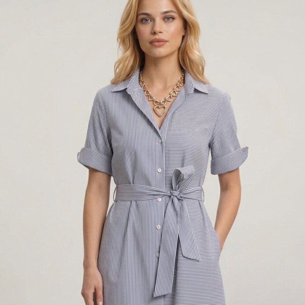 EUC‎ Hinson Wu Charlie Refined Cotton Stripe Check Shirt Style Midi Dress SMALL - Picture 2 of 11